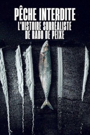 Pêche interdite : L'histoire surréaliste de Rabo de Peixe